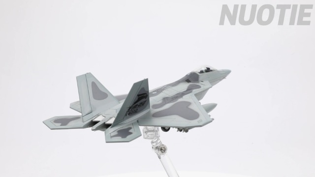 Amazon.com: NUOTIE F-22 Raptor AF91 4002 Old Reliable Fighter